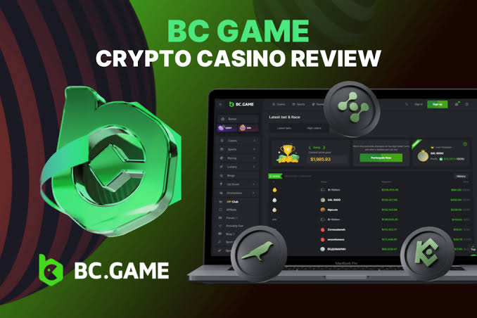 Explore the Exciting World of BC.Game Online Platform
